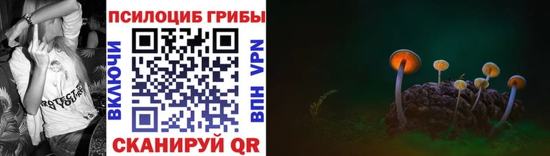 Галлюциногенные грибы прущие грибы  Каменск-Уральский 